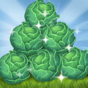 Don't Fall Off the Cabbage Truck