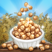 Chickpea Champion