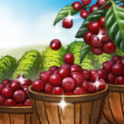 Bean Counter