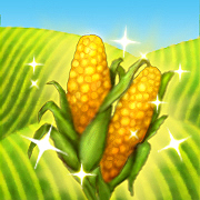 Corn Sweet Corn