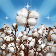In High Cotton