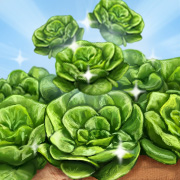 Lettuce Entertain You!