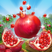 Pomegranate Prodigy