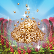 Quinoa's Ark