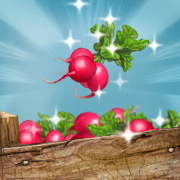 Radish, Steady, Go!