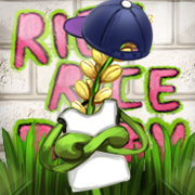 Rice Rice Baby