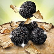 Truffle Hunter